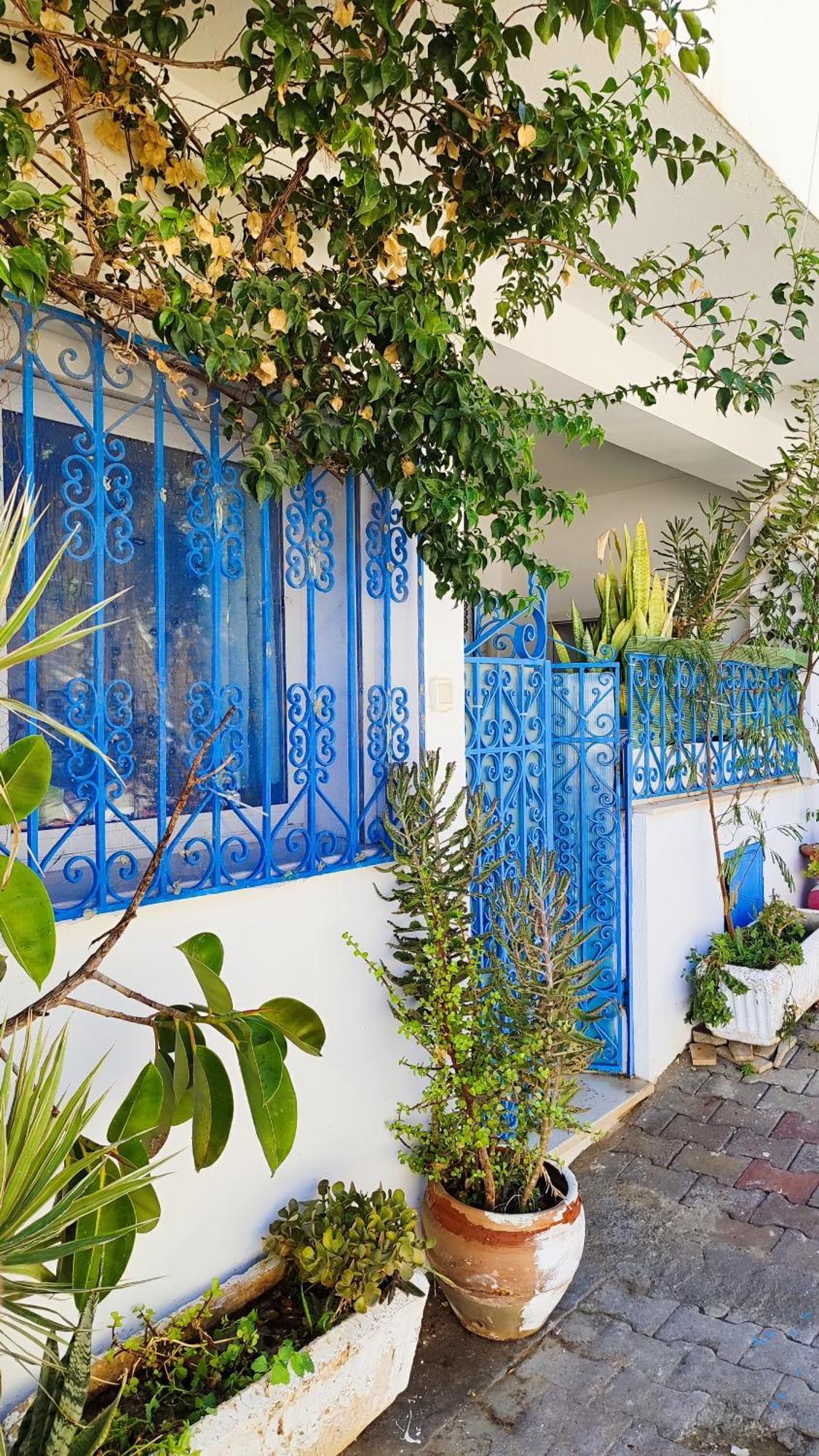 Cosy Appartement In "Sidi Bou Said" Kültér fotó