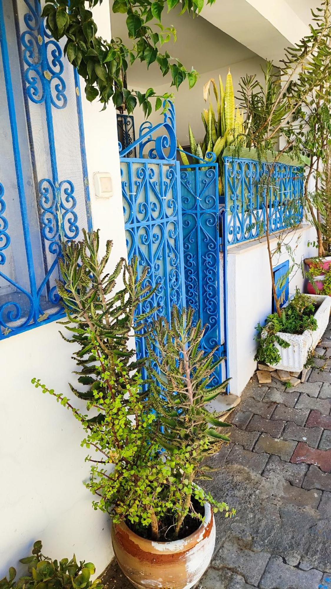 Cosy Appartement In "Sidi Bou Said" Kültér fotó